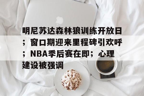 nba明尼苏达森林狼 nba明尼苏达森林狼
