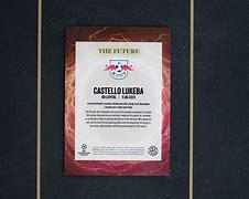 yy易游体育平台-莱比锡红牛阵容